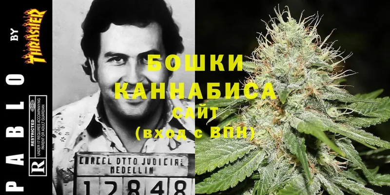 купить наркоту  Терек  Марихуана THC 21% 